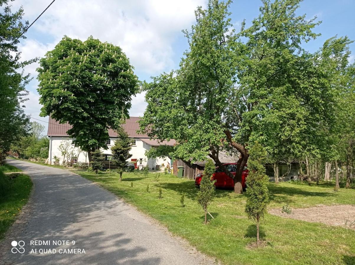Roze I Jablonie Agroturystyka Gryfów Śląski エクステリア 写真