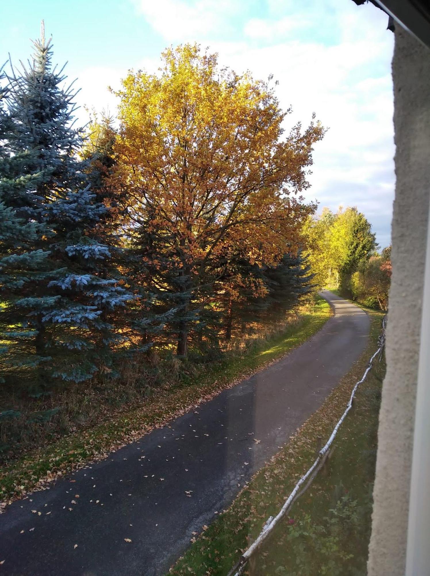 Roze I Jablonie Agroturystyka Gryfów Śląski エクステリア 写真