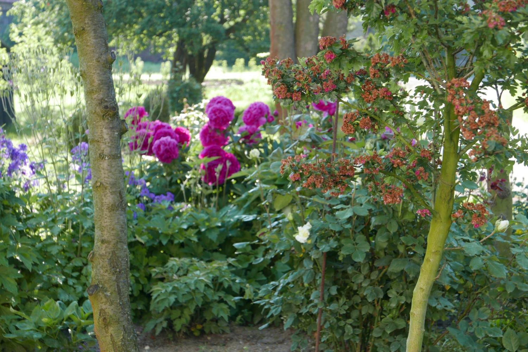 Roze I Jablonie Agroturystyka Gryfów Śląski エクステリア 写真