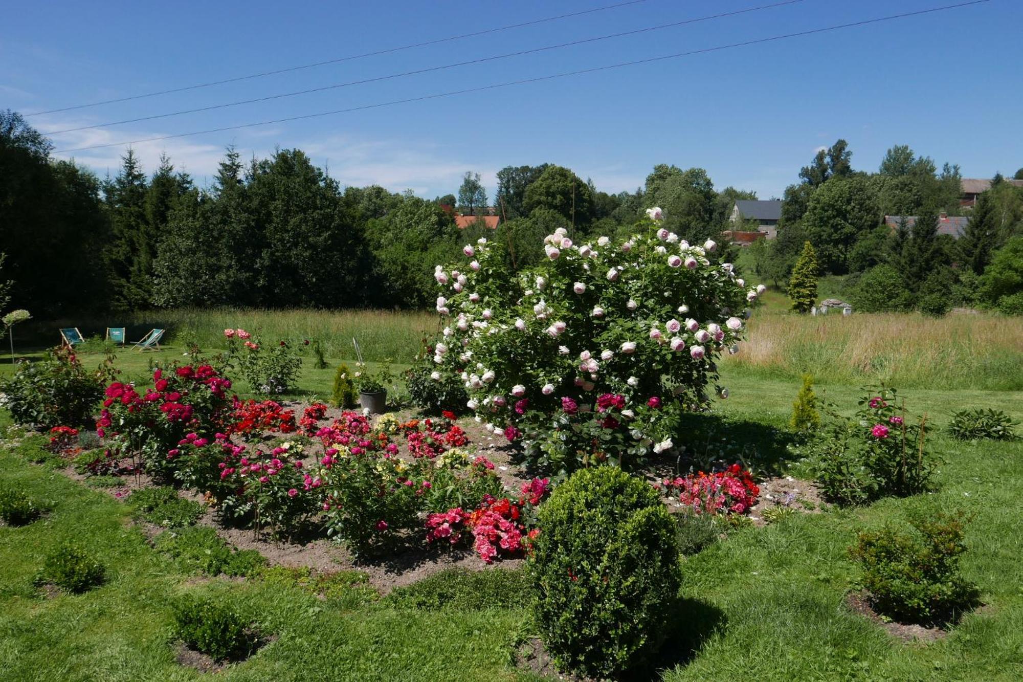 Roze I Jablonie Agroturystyka Gryfów Śląski エクステリア 写真